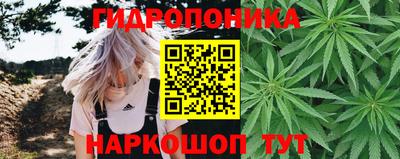 первитин Будённовск